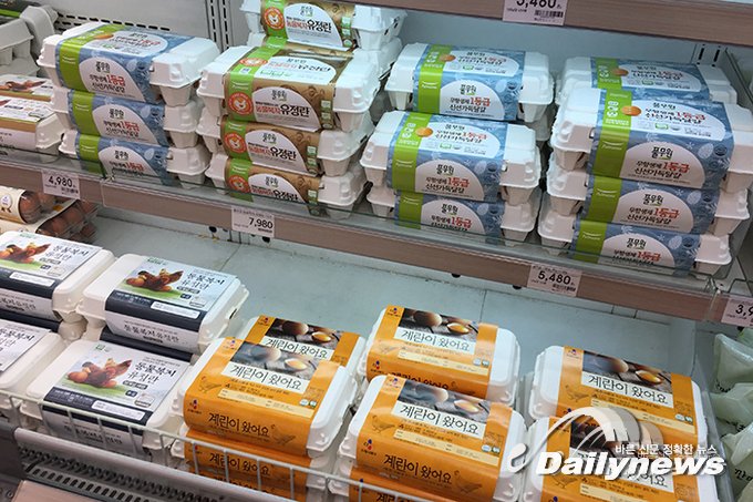 ▲ 정부는 계란 가격을 안정화시키기 위해 오는 6월 말까지 신선란과 계란 가공품 등 8개 품목 5만T에 긴급할당관세 0%를 적용하기로 했다/데일리뉴스