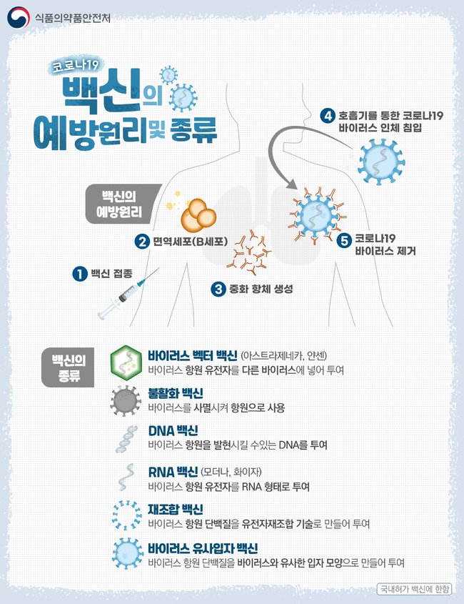 ▲ 코로나바이러스 백신의 예방 원리 및 종류 (이미지=식품의약품안전처)