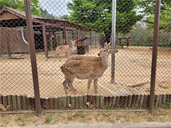 ▲ 인천대공원 어린이동물원 사진