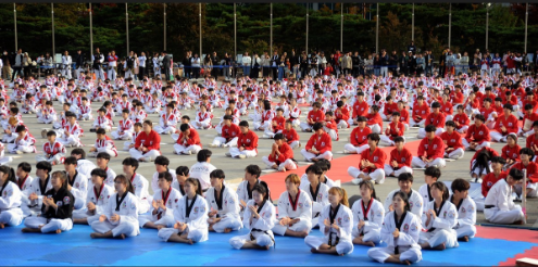 청소년 어린이 태권도 선수들 수 천명이 마치 한명이 움직인 듯 일사분란하게 시연한 태권도 시범이 압권었다.(사진=데일리뉴스)