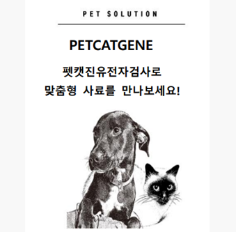 '사하라'가 최근 지분인수한 (주)펫켓바이오는 IBM과 소프트뱅크 코리아에서 최고 엔지니어로 명성을 쌓은 김현창 대표가 이끄는 회사로, 유전자 기술뿐만 아니라 AI, IoT 및 블록체인 기술을 기반으로 한 스마트 앱과 웹 서비스를 이미 개발 완료하고 현재 베타 테스트 중에 있다.