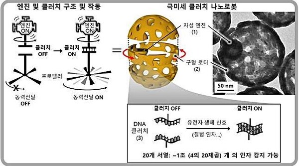 클러치 나노로봇 크기를 나타낸 모식도. 그림=IBS 나노의학연구단