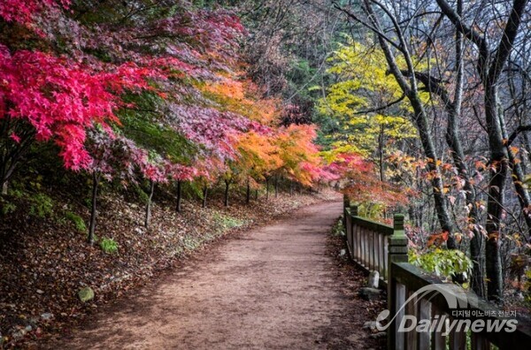 [특별紀行]몸과 마음의 힐링캠프, 만추의 오대산
