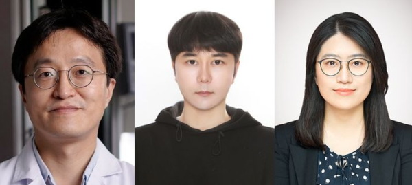 왼쪽부터 DGIST 박치영 교수, 부석형 박사과정생, 경북대학교 차효정 교수. 사진=DGIST