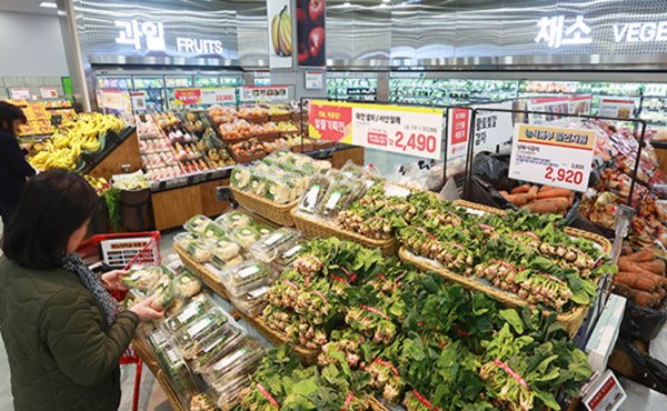 소비자물가가 3년9개월만에 최저수준까지 내려왔다. 그러나 채소류는 여전히 강세를 보였다. 사진은 대형마트의 채소코너.
