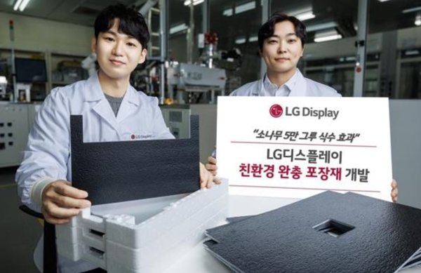 LG디스플레이 직원이 재생 플라스틱 원료 기반 친환경 완충 포장재를 소개하고 있다. 사진=LG디스플레이
