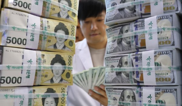 고환율에 한은이 금리인하 행진을 멈췄다. 사진은 서울 중구 하나은행 위·변조 대응센터에서 직원이 달러와 원화를 정리하고 있는 모습. 사진=연합뉴스 