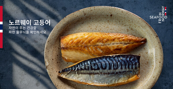13일 오전 서울의 한 대형마트 수산물 코너에 노르웨이 고등어의 원산지를 알리는 홍보물이 설치되어 있다. 노르웨이수산물위원회는 건강한 식생활에 대한 관심이 높아지는 봄철을 맞아 노르웨이 고등어의 영양적 가치와 원산지 식별법을 알리는 '자연이 주는 건강함' 캠페인을 본격적으로 시작한다. 사진은 2026 노르웨이 고등어 봄 캠페인 공식 이미지. [노르웨이수산물위원회 제공. 재판매 및 DB 금지]