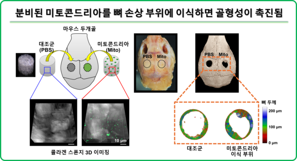 출처: 과학기술정보통신부