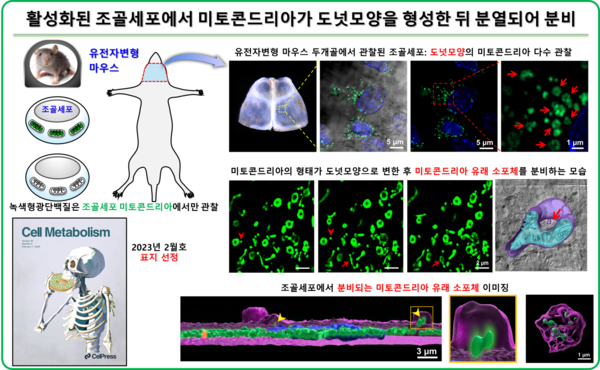출처: 과학기술정보통신부