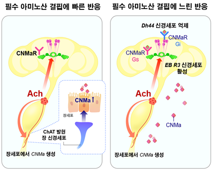 출처: 과학기술정보통신부