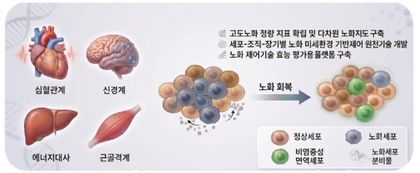 출처: 과학기술정보통신부 보도자료