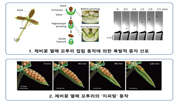 출처: 과학기술정보통신부 보도자료