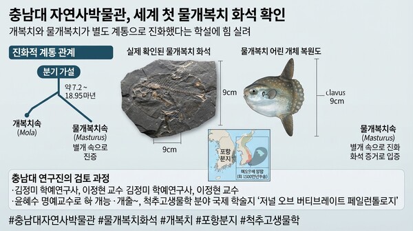 기사 내용을 돕기위한 AI이미지