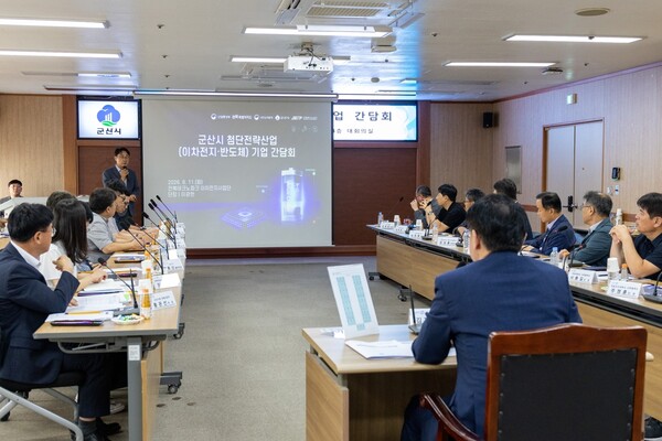 기사 내용을 기반으로 이해를 돕기위한 AI이미지